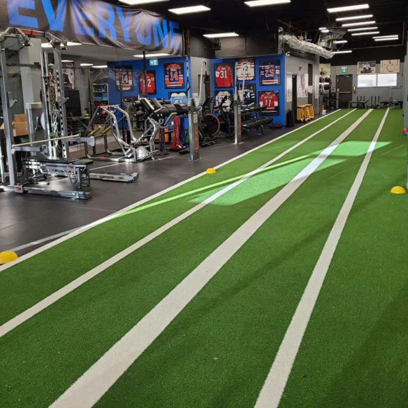 Foam Backed Artificial Gym Turf for Fitness & Sports Training