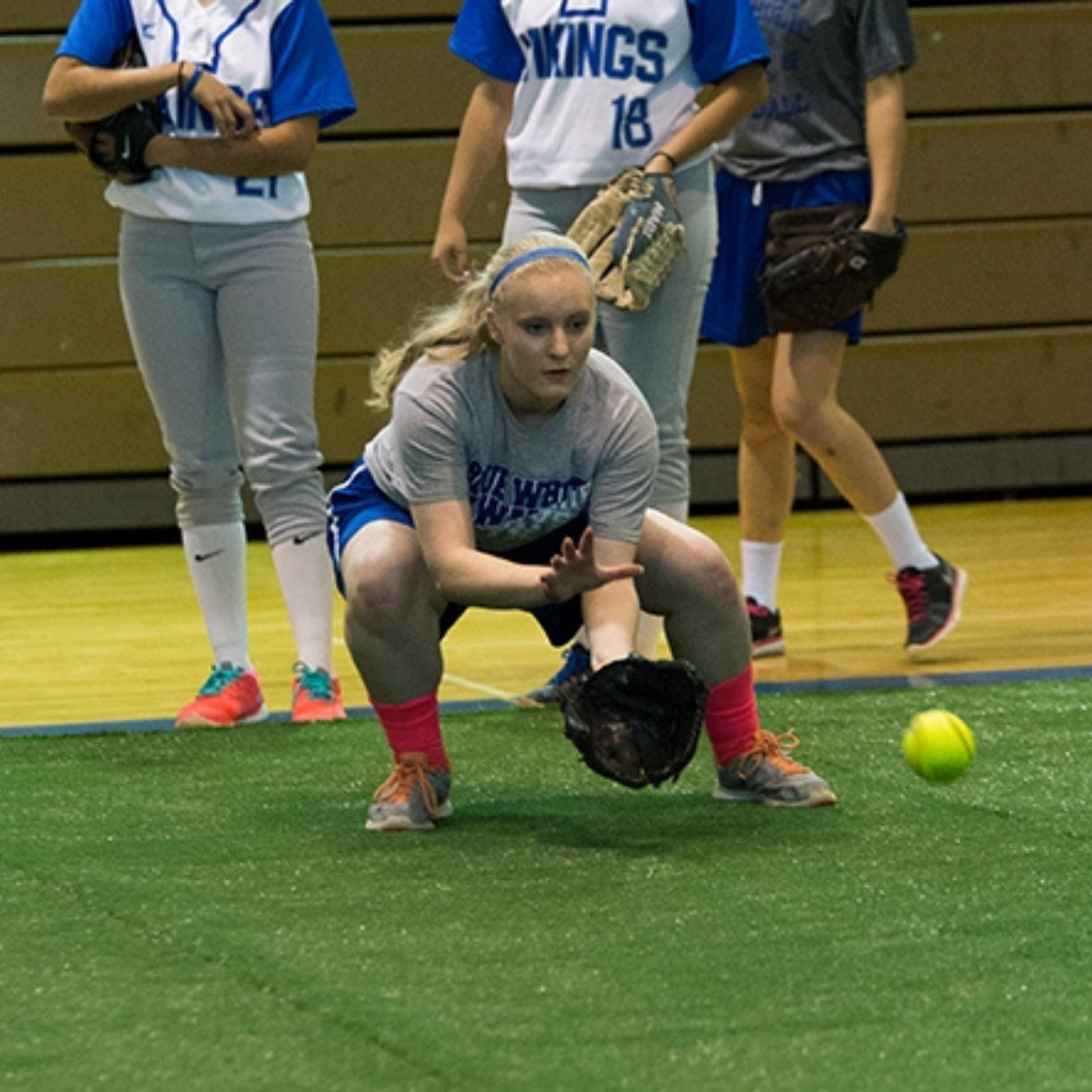 Portable Indoor Padded Turf for Multi-Sport