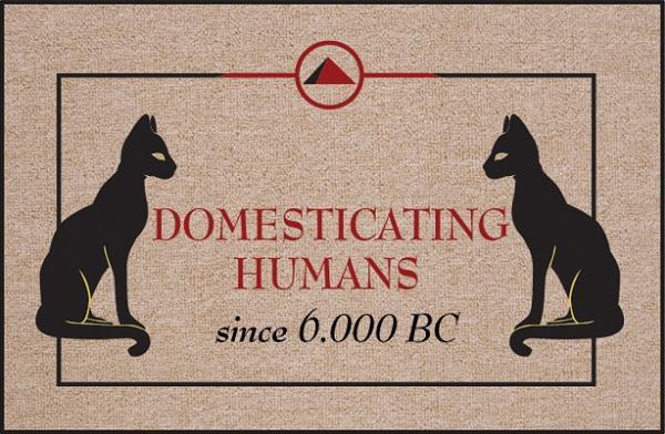 FUNNY DOORMAT - DOMESTICATING HUMANS