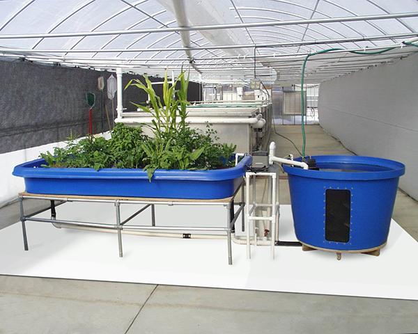 Grow Floor for Growing Plants Indoors or in a Greenhouse