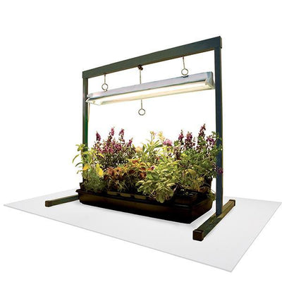 Grow Floor for Growing Plants Indoors or in a Greenhouse